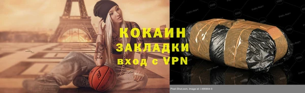 ГАЛЛЮЦИНОГЕННЫЕ ГРИБЫ Лагань
