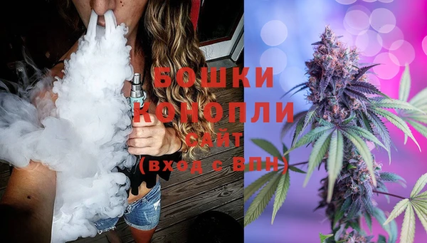 ГАЛЛЮЦИНОГЕННЫЕ ГРИБЫ Лагань