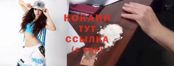 шишки Ладушкин