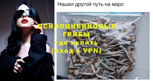 шишки Ладушкин