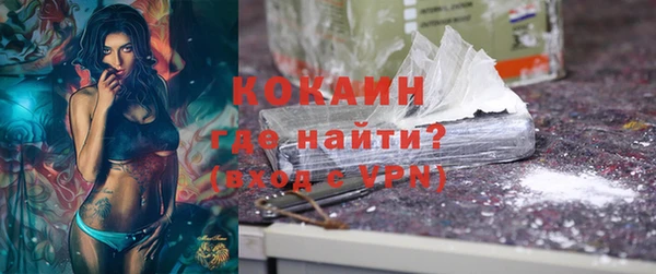 шишки Ладушкин