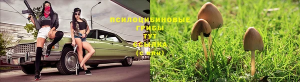 ГАЛЛЮЦИНОГЕННЫЕ ГРИБЫ Лагань