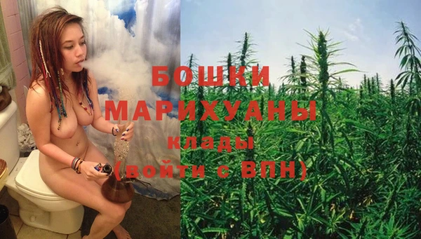 шишки Ладушкин