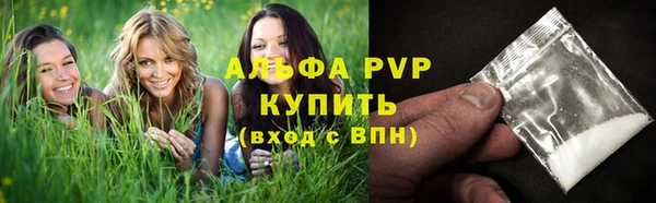 шишки Ладушкин