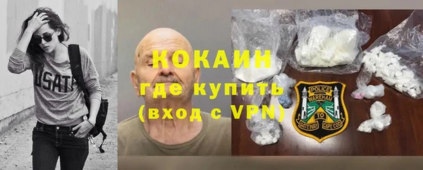 шишки Ладушкин
