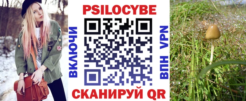 Галлюциногенные грибы Psilocybine cubensis  Сарапул 