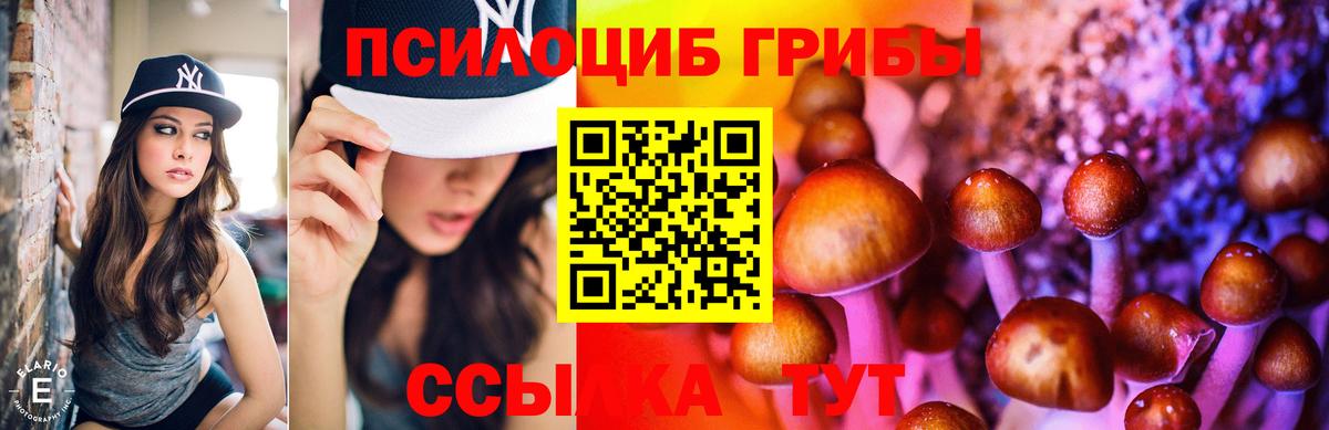 Сарапул  Псилоцибиновые грибы мухоморы  Вход с VPN 