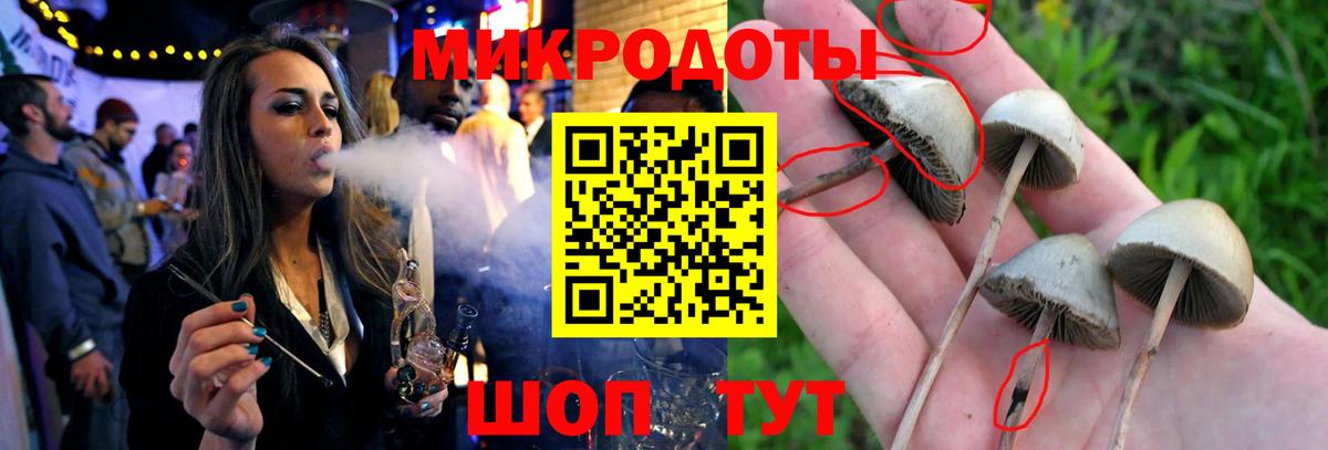 Галлюциногенные грибы MAGIC MUSHROOMS Сарапул